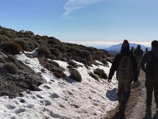 Nieve Sierra de las Nieves 